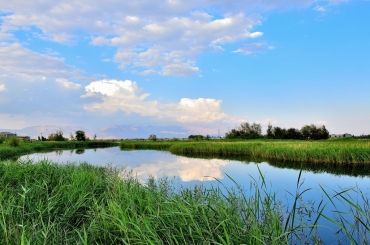 MBR南水北調(diào)水源地應(yīng)用加碼 市場(chǎng)拉升動(dòng)力強(qiáng)勁